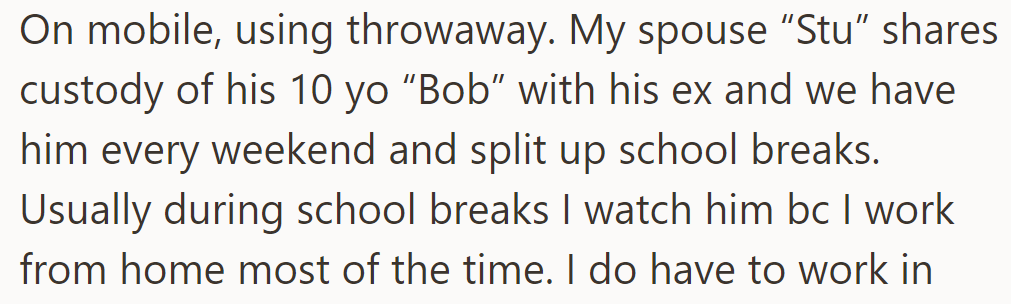 OP's spouse, Stu, shares custody with his ex, has a son (Bob) on weekends and breaks, and watches him while working from home.