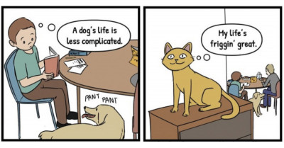 These 20 Funny Comics Have Some Final Awkward Twists That Will Catch You Off Guard