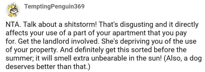 Basically Everyone Encouraged OP to Report This to Their Landlord