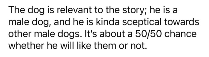 OP's dog is 'kinda skeptical' towards other male dogs and never feels at ease around them.
