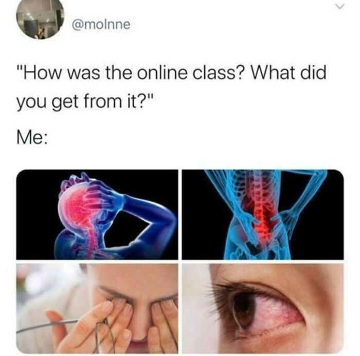 13. What I got from online class