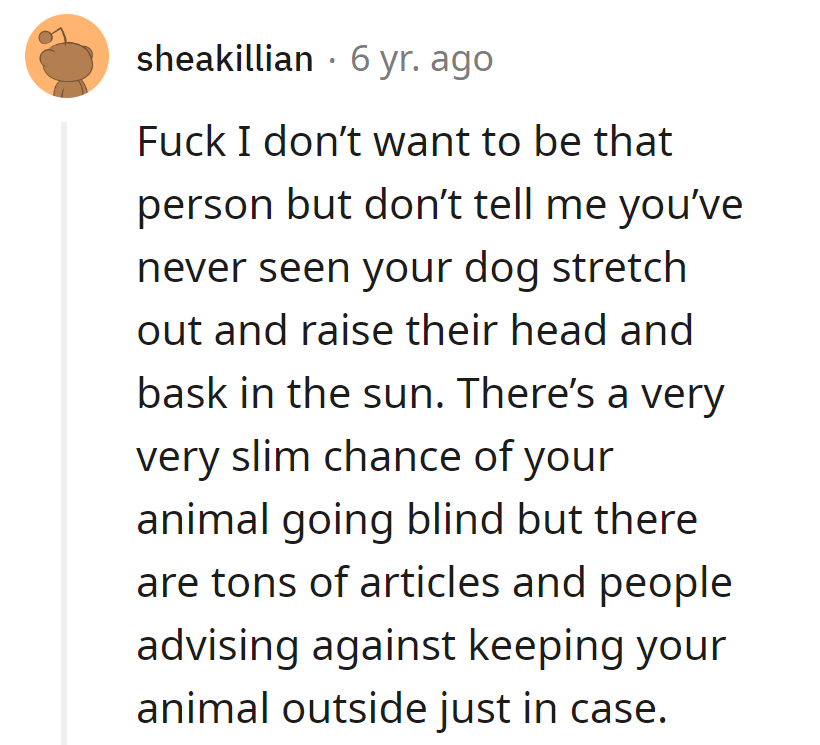 Ah, the eternal struggle: To bask or not to bask? That is the canine conundrum.