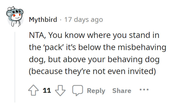 It Should Not Have Been About Being on the Same Level as Their Dogs.