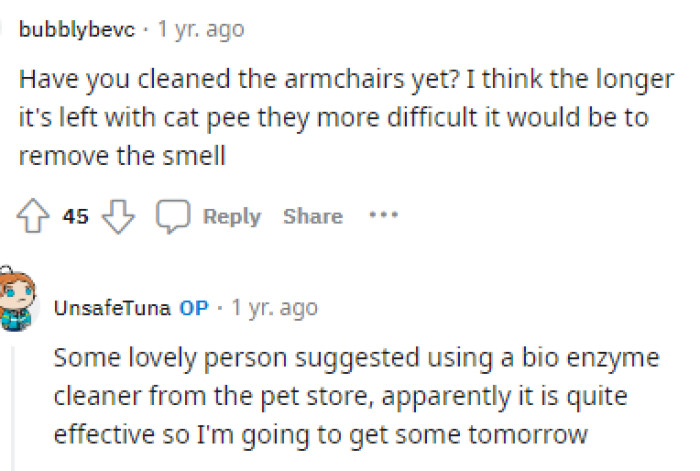 People were also interested in the situation with the armchairs and whether she planned to clean them herself.
