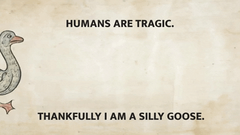 22. Humans are idiots