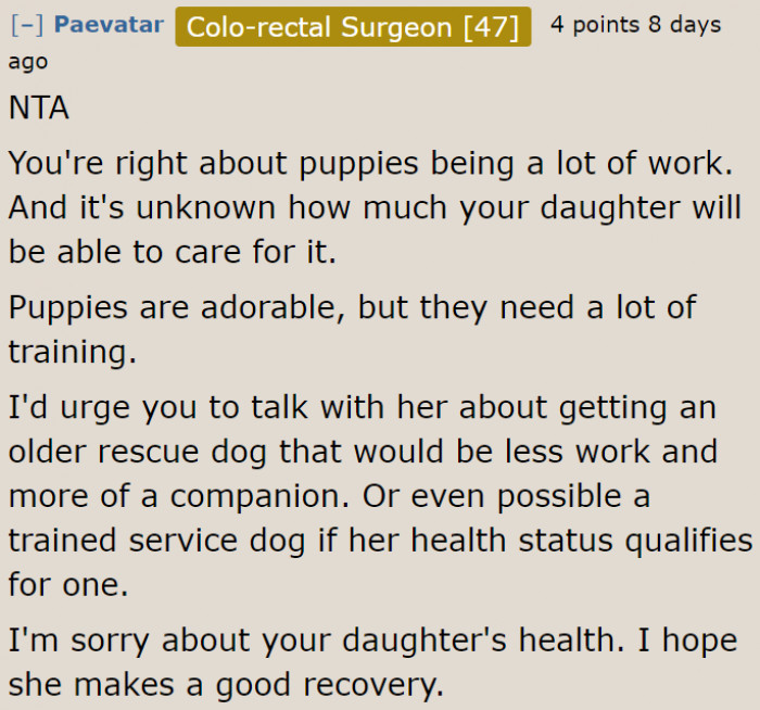 An old rescue dog could be an option.