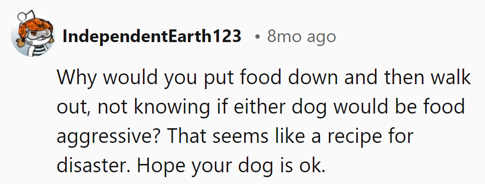 Leaving food unattended with dogs around? It's a recipe for disaster. Hoping his dog recovers swiftly.