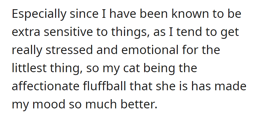 Qimao, the affectionate Ragdoll cat, brings joy to OP, easing stress for the sensitive soul.