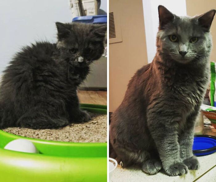 "Before And After Of Crusty Boi™️"