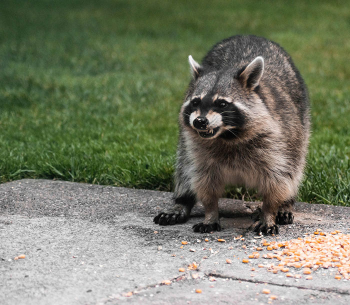 3. “Had a grown man calling in about 