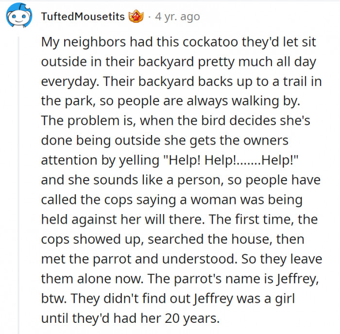People called the cops on this cockatoo.