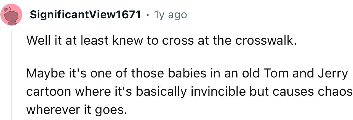 “Well, it at least knew to cross at the crosswalk.”