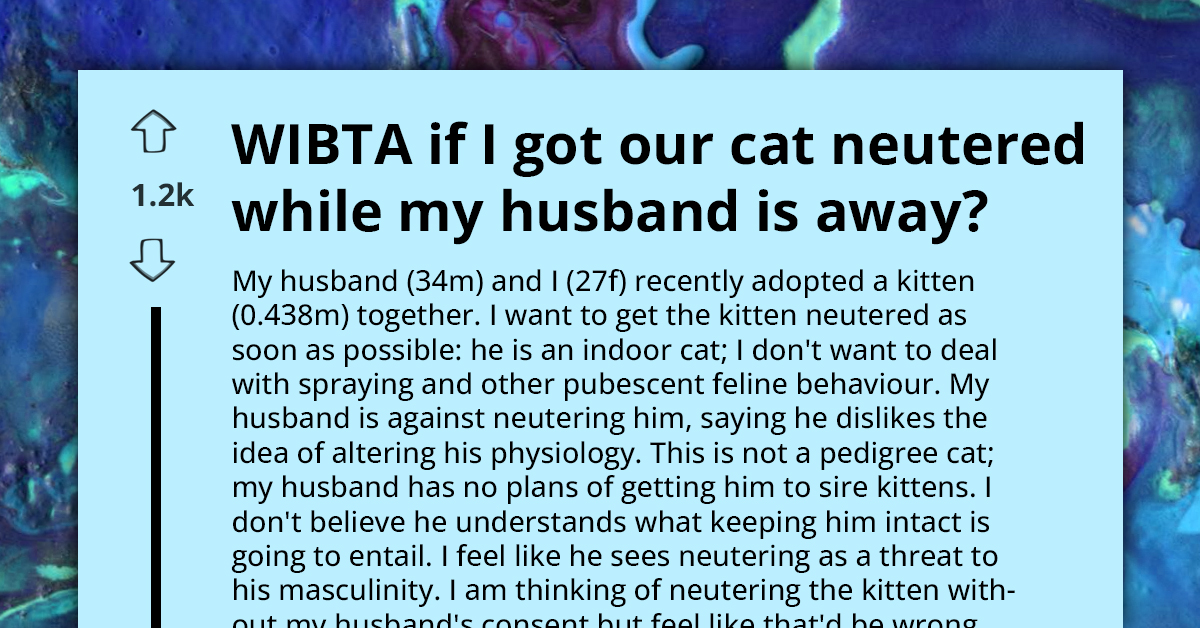 Woman Plans To Neuter Cat While Husband Is Away, Disaster On Horizon