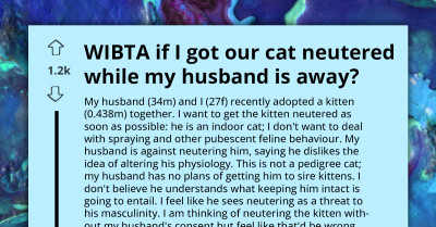 Woman Plans To Neuter Cat While Husband Is Away, Disaster On Horizon