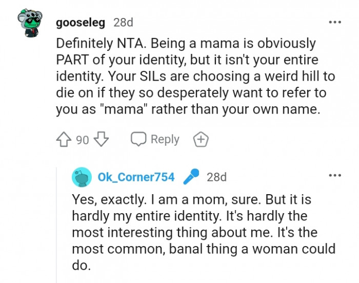 Your SILs Are Choosing a Weird Hill to Die On