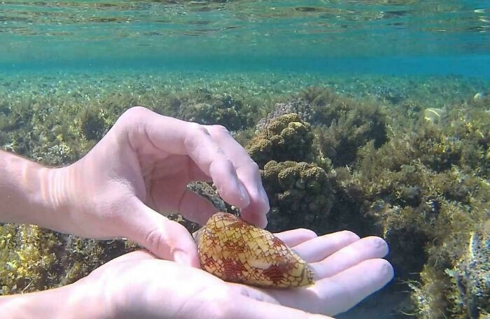 "How Lucky I Am To Be Still Alive? Red Sea, Egypt"