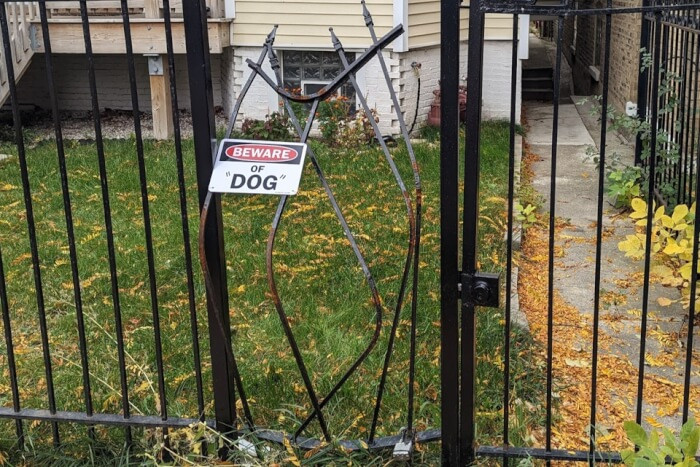 6. A tree fell on my fence. Making the best of it while I negotiate the repair