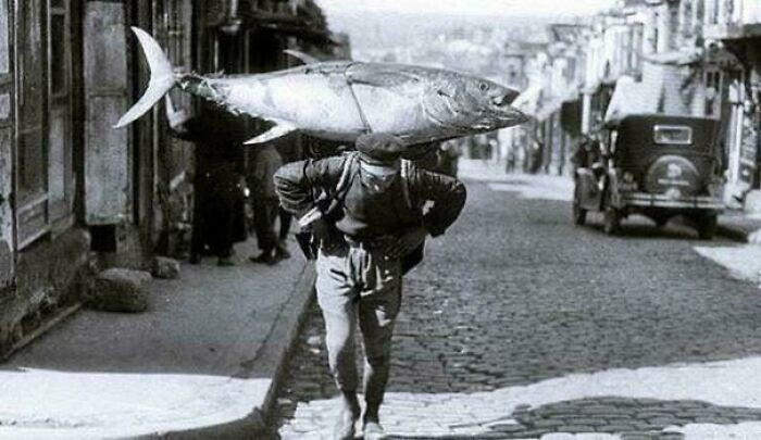 "A Fishermen Returns With His Fish In Istanbul 1930s"