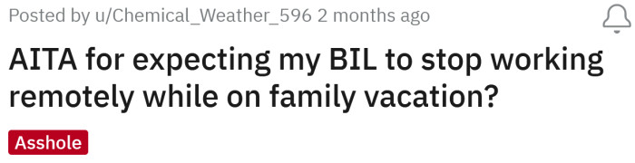 The Redditor asked if she's an a**hole for expecting her BIL to stop working while on vacation.