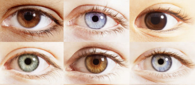 What Is the Rarest Eye Color? Every Shade Ranked