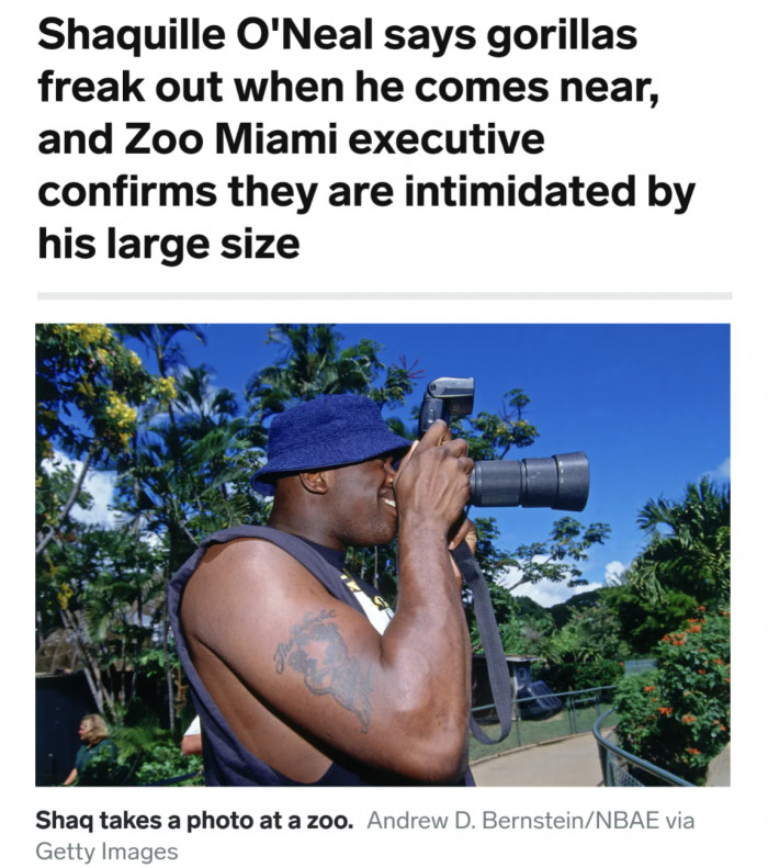 Shaquille O'Neal says gorillas freak out when he comes near, and Zoo Miami executive confirms they are intimidated by his large size