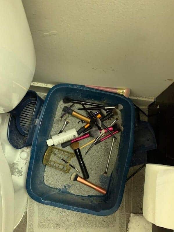 4. “Cats knocked over every single one of my makeup brushes this morning… into their freshly shat-in litter box :))”