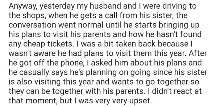 Recently, OP discovered that their husband was planning to travel home to visit his parents without informing her about it. This made them really upset.