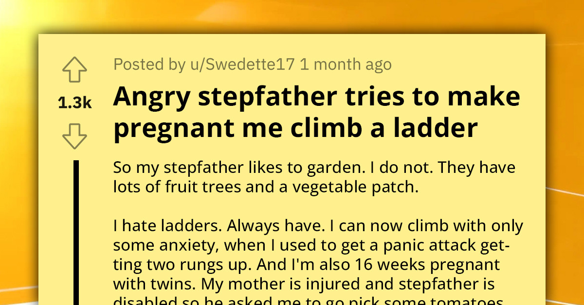 Pregnant Redditor Feuds With Her Stepfather After He Tried To Force Her To Climb A Ladder