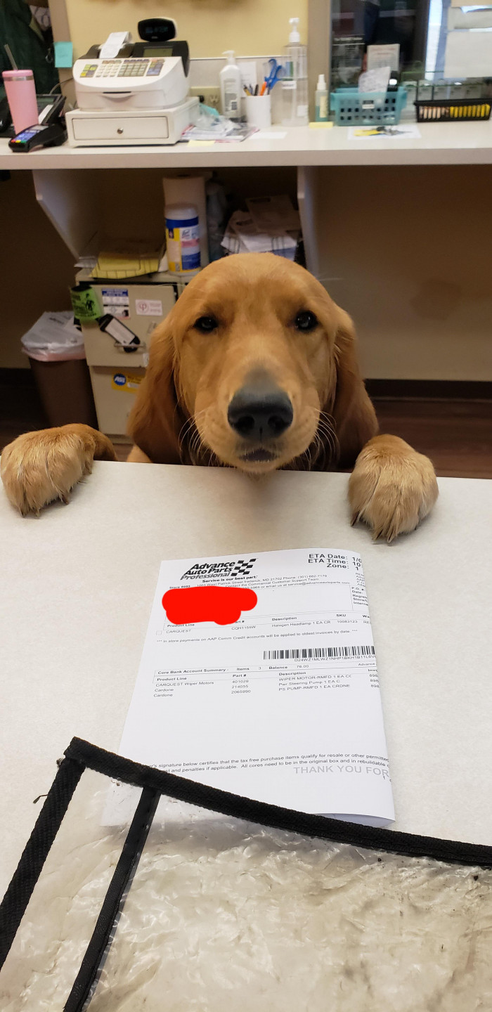 3. “I'm a driver for Advance Auto, and every time I come to this stop, I see this little cutie.”