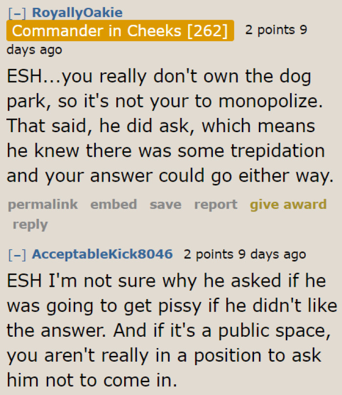 A few Redditors believe both were in the wrong. They didn't like the attitudes of both the OP and the owner of the big dog.