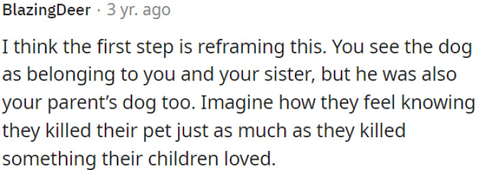 OP Needs to Consider That the Dog Was Not Just His and His Sister's but Also His Parents', and Empathize with How They Might Feel About the Loss.