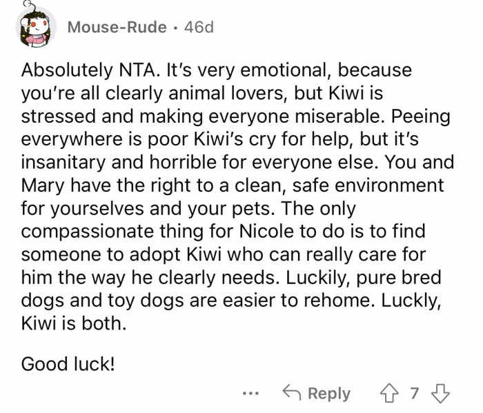 9. Please consider rehoming Kiwi for the good of everyone's everyday life.