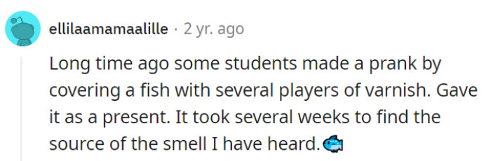 A fishy prank with layers of varnish—a gift that left everyone searching for fresh air and fresh ideas!