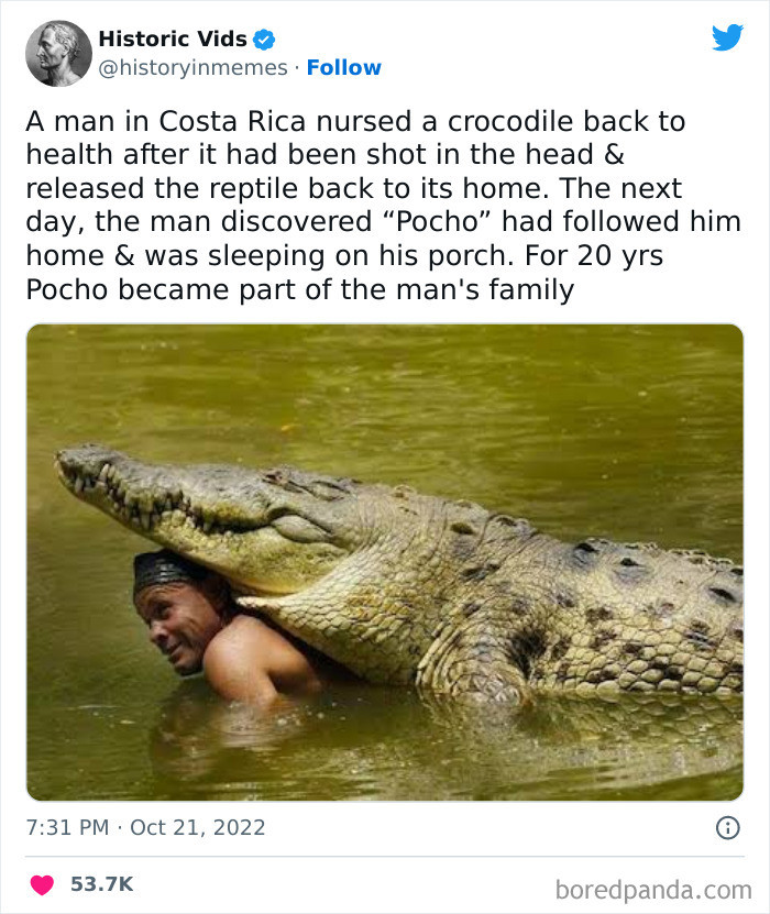 37. Pocho Remains Grateful