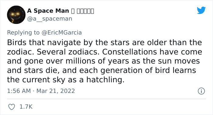 28. Birds are fast learners