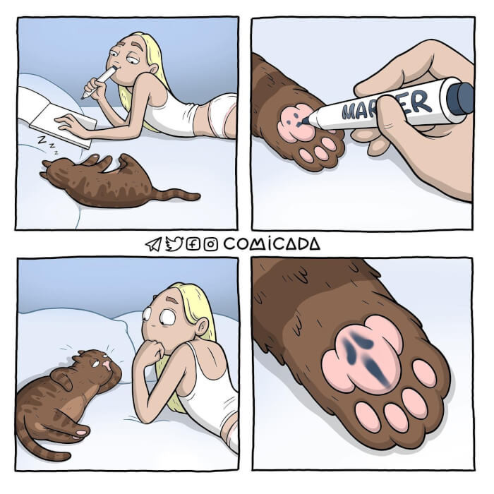 14. These Paws Beckon