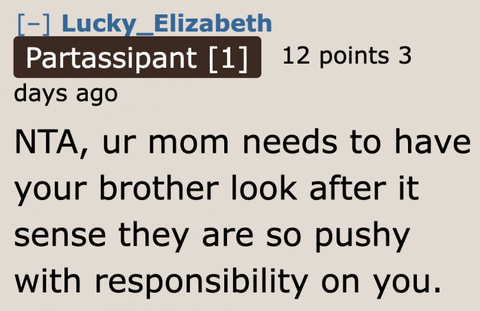 It seems like the brother wants the dog. Why not make him care for it?