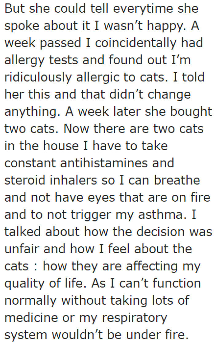 The OP Found Out That He's Allergic to Cats. Then He Came Home to Find the Cats Brought Home by His Girlfriend.