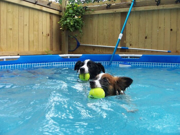 This dad wasn't so successful.