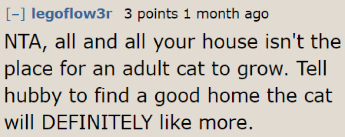 A Redditor feels that it's also time for the cat to go. It needs to be rehomed to a place where it will be comfortable.