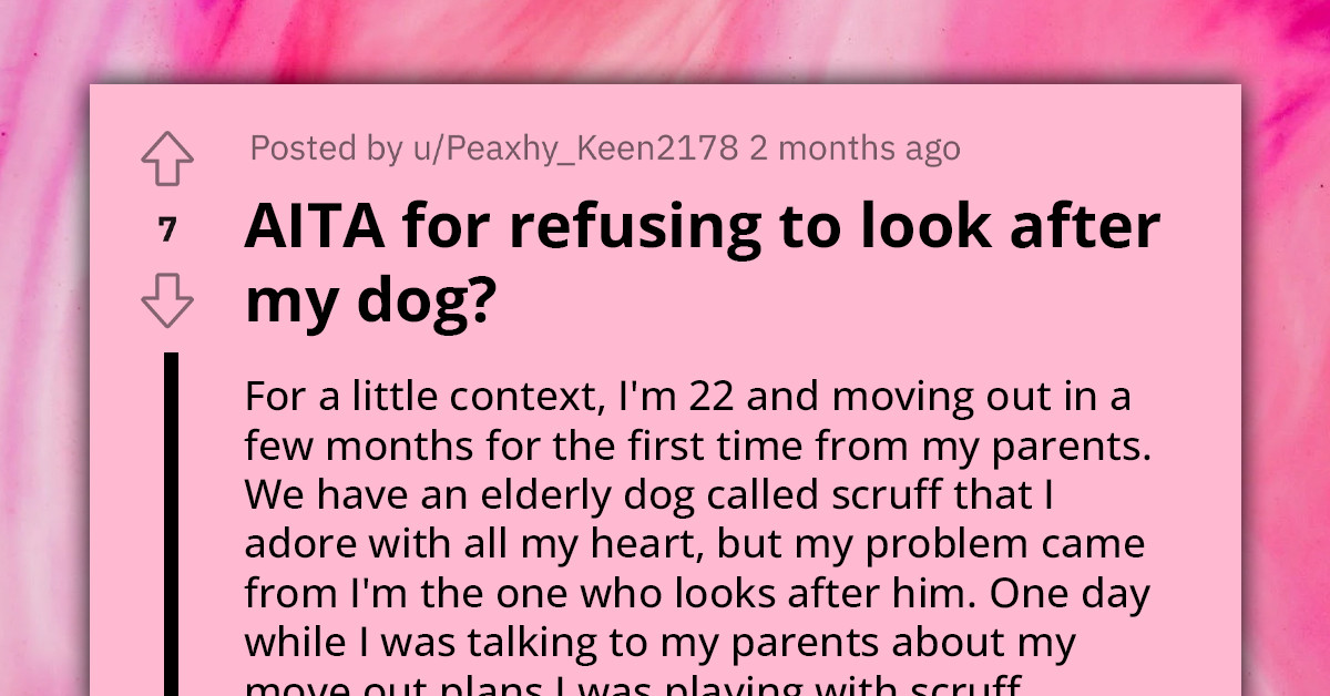 Poor Dog's Health Declines As Family Members Stop Caring For It In Bid To Prove Ownership