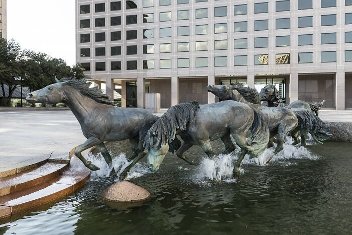 Mustangs, Las Colinas, Texas