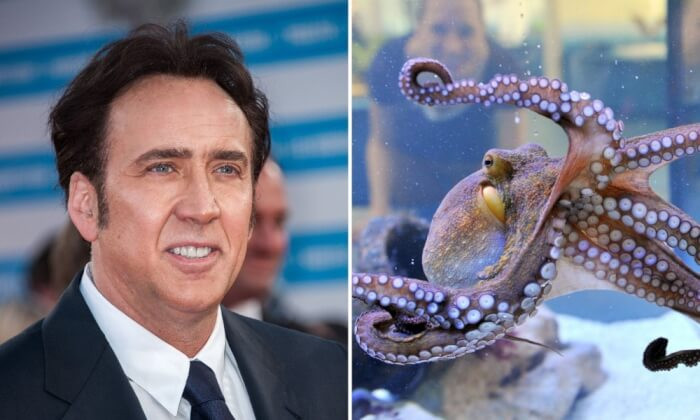 Nicolas Cage once owned an octopus.