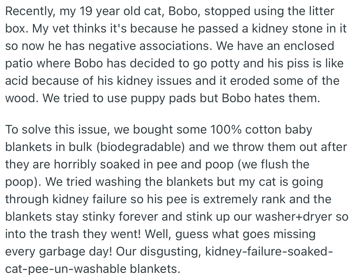 OP’s neighbor goes as far as salvaging their sick Cat’s used blankets, which is usually disposed after being used to collect their cats pee