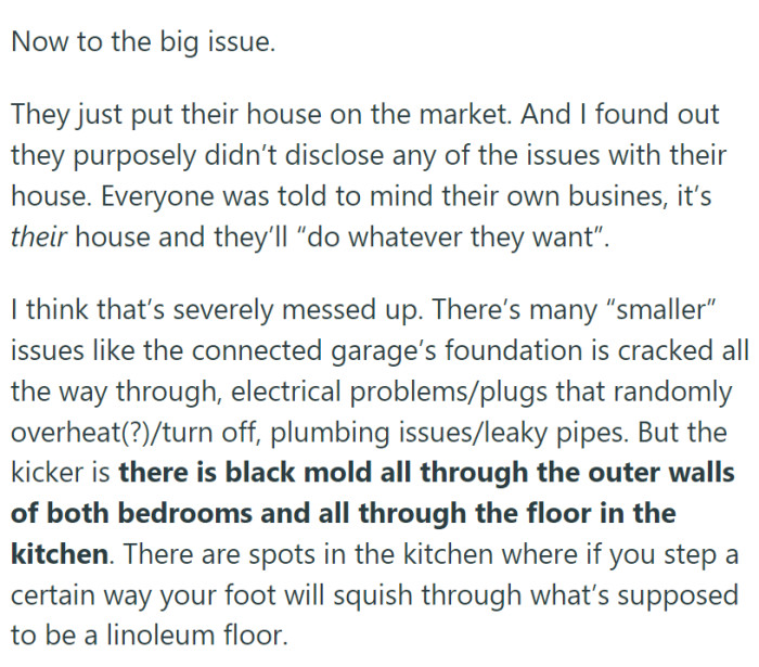 Besides being morally wrong, it is also illegal. So, she wants to warn the realtor and possible buyers