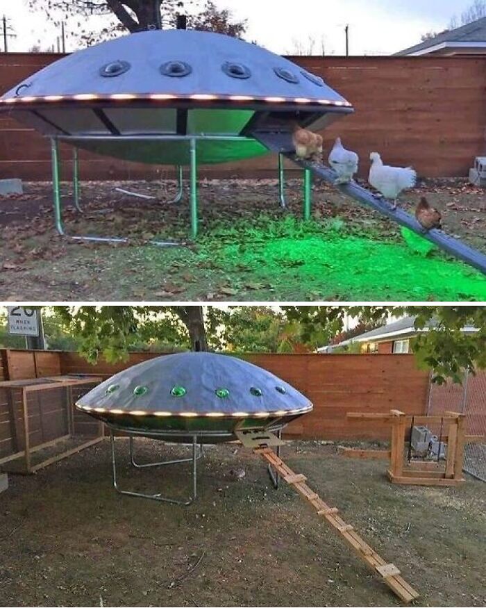 Chicken ship