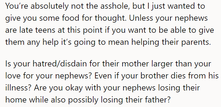 A Redditor was curious and asked if the hatred for his sister-in-law was greater than his love for the nephews