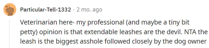 Veterinarian's Verdict: Extendable Leashes Are the Devil.