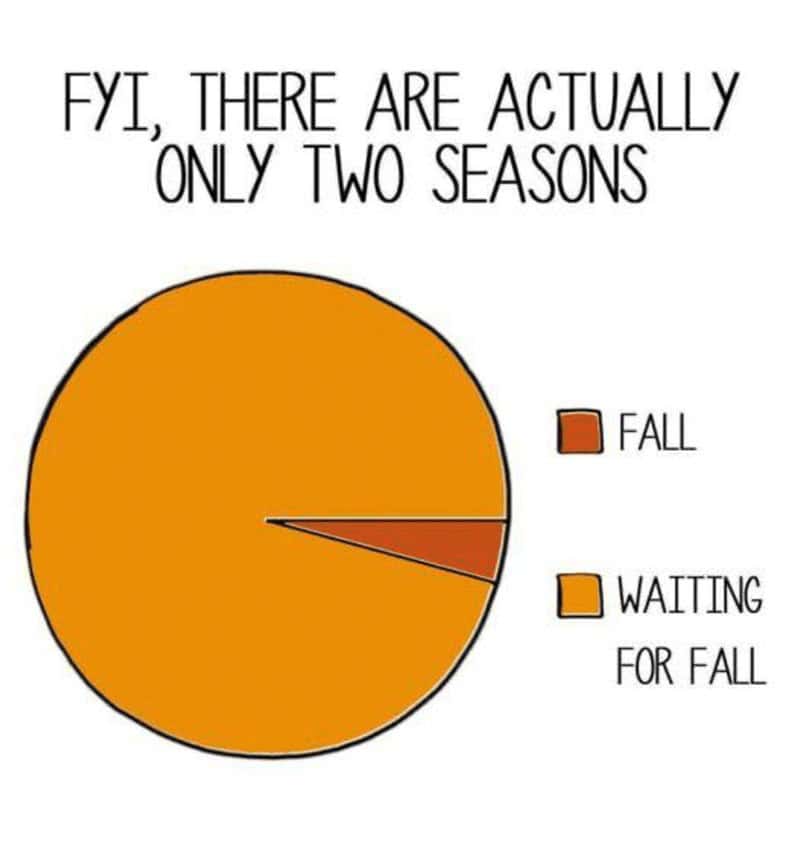 17. The two seasons that truly exist