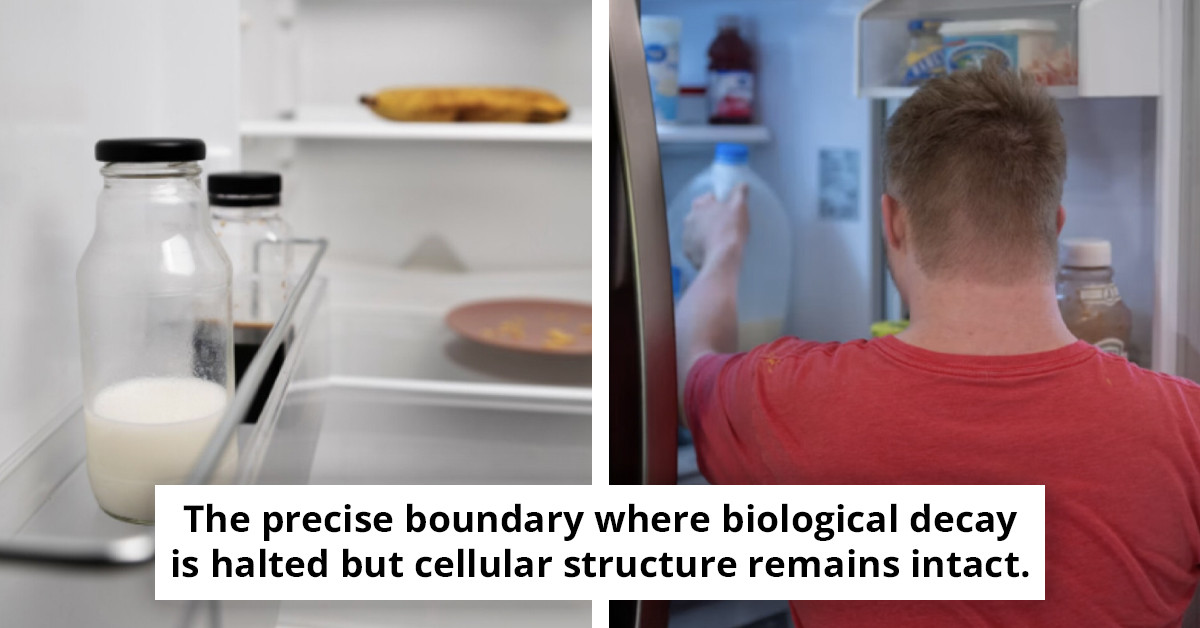 You've Been Loading Your Fridge Wrong - And It's Costing You Money